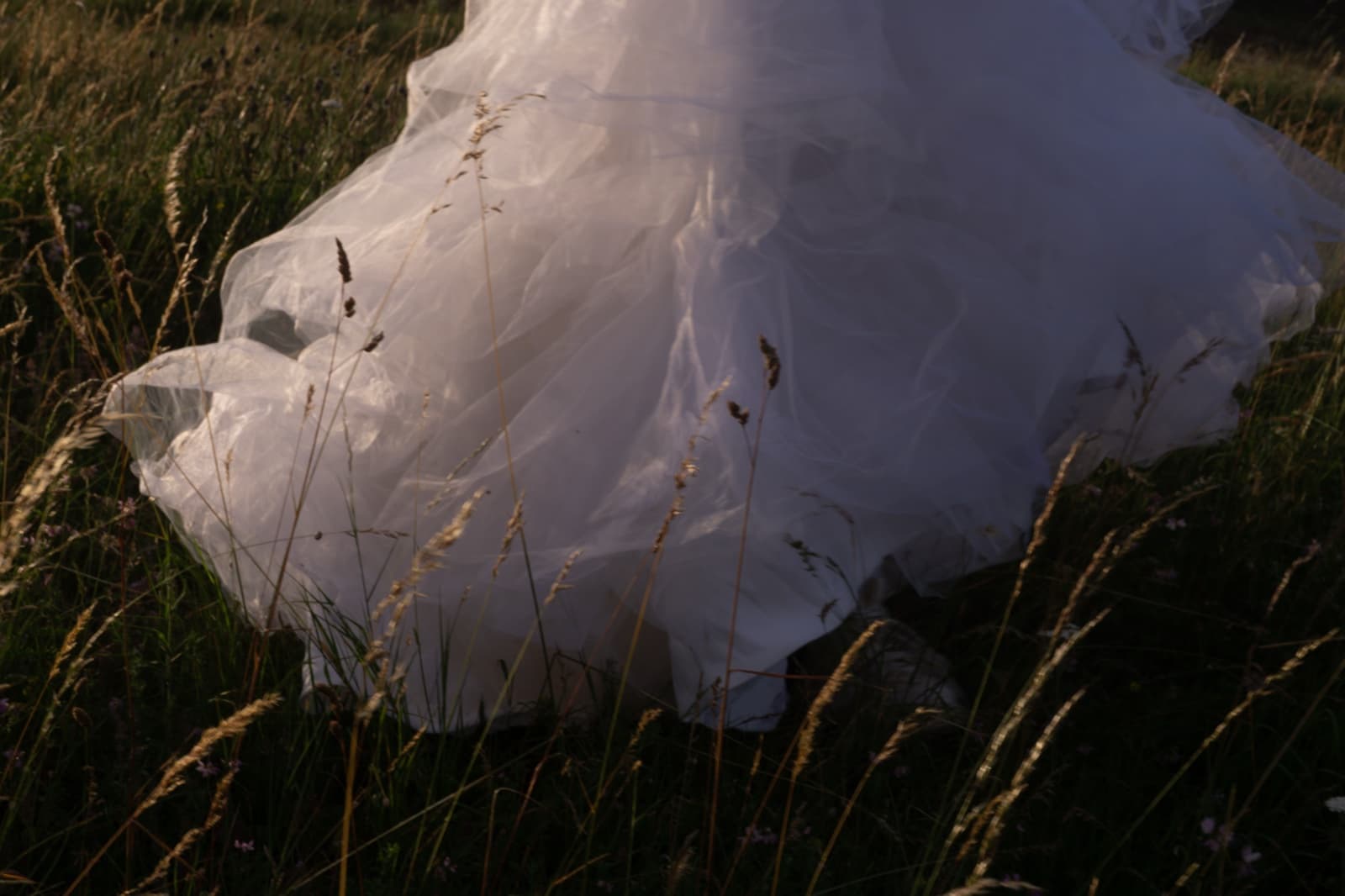 Sesja fotograficzna Julii Mikuły